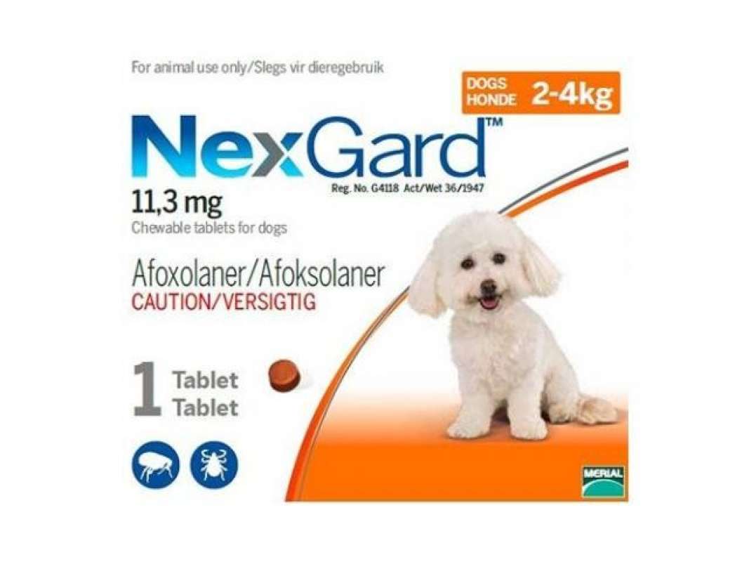Nexgard for dogs chewy 2025