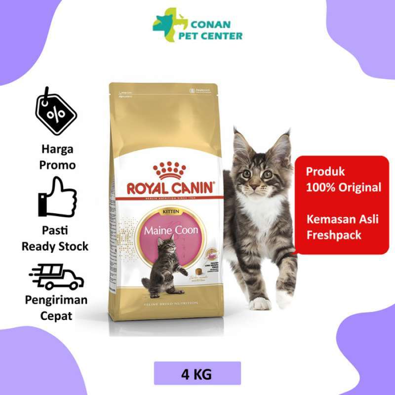 Royal canin maine coon kitten top 4 kg