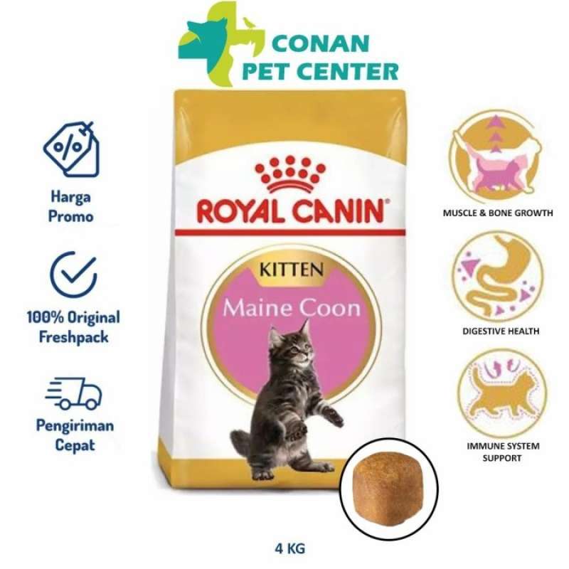 Royal canin maine coon kitten 4kg top