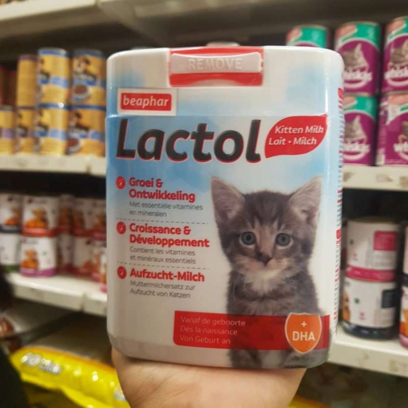 Beaphar kitty milk store