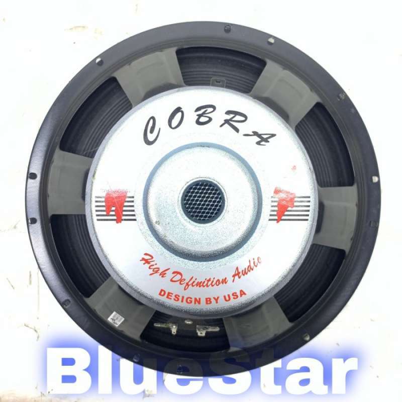 Cobra hotsell pa speaker