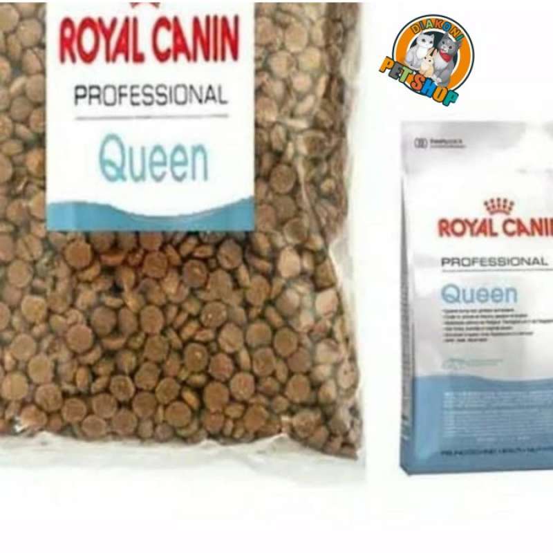 Makanan Kucing Hamil Menyusui Royal Canin Pro Queen 1000gr RC Queen