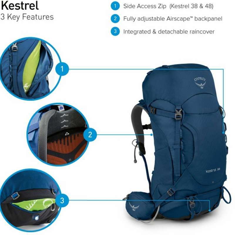 Osprey 38l kestrel online