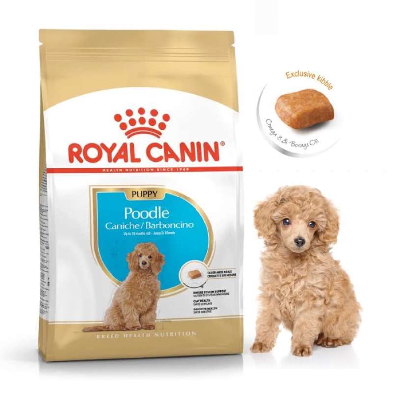 Royal canin poodle puppy outlet