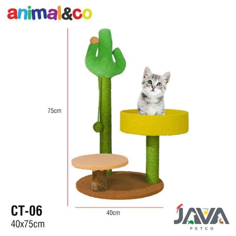 Jual cat deals condo