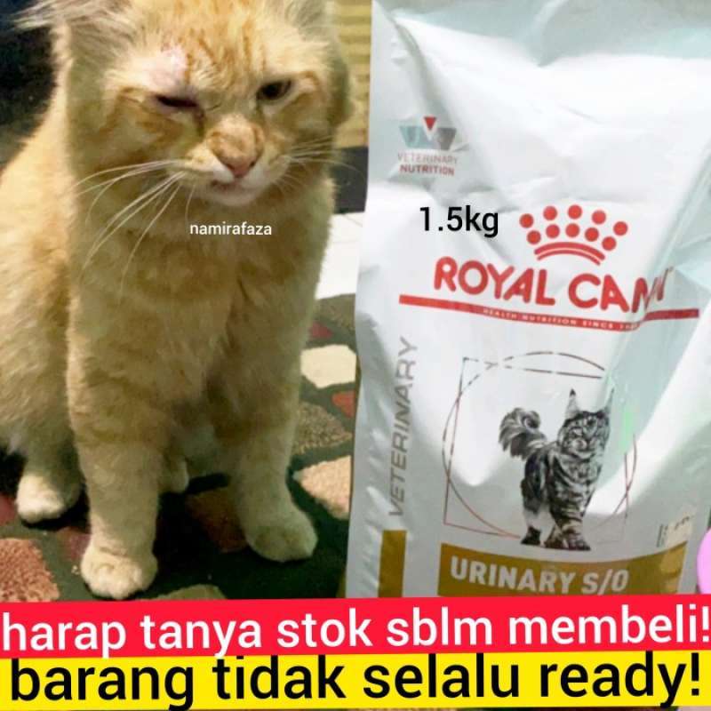 Royal canin high dilution cat food online