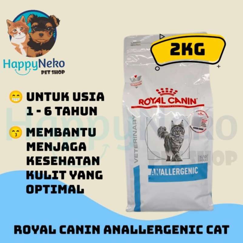 Anallergenic cat hot sale