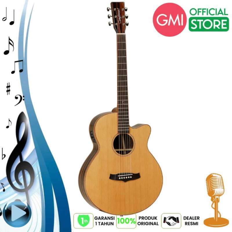 Tanglewood sales twj sfce
