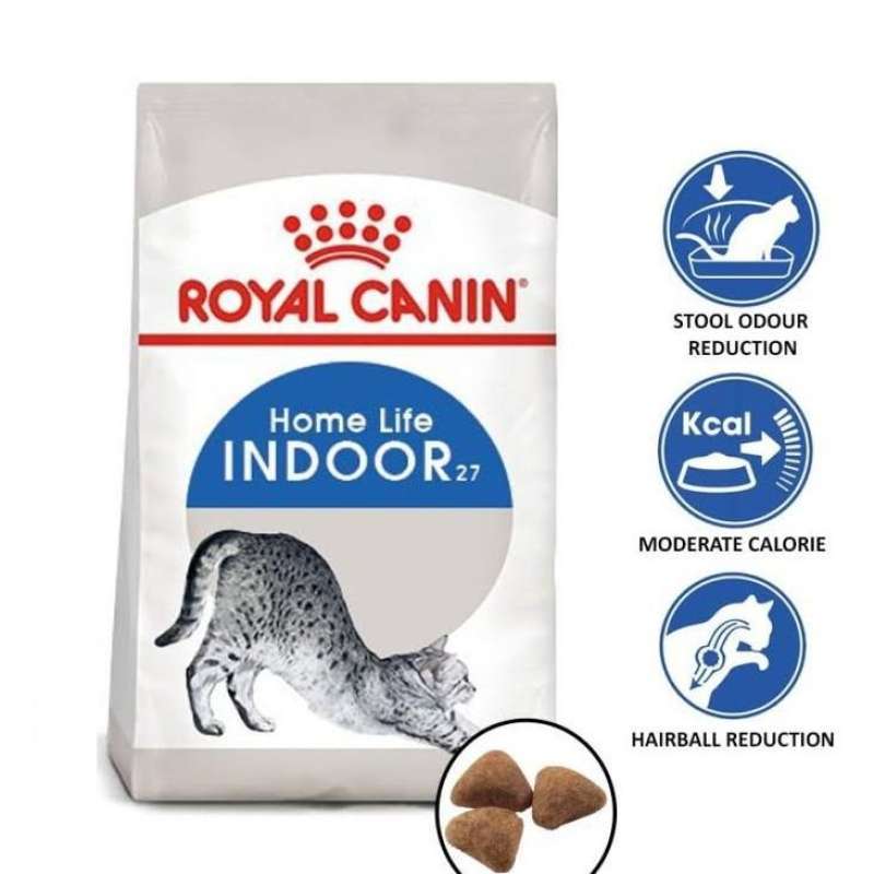 Rc indoor discount