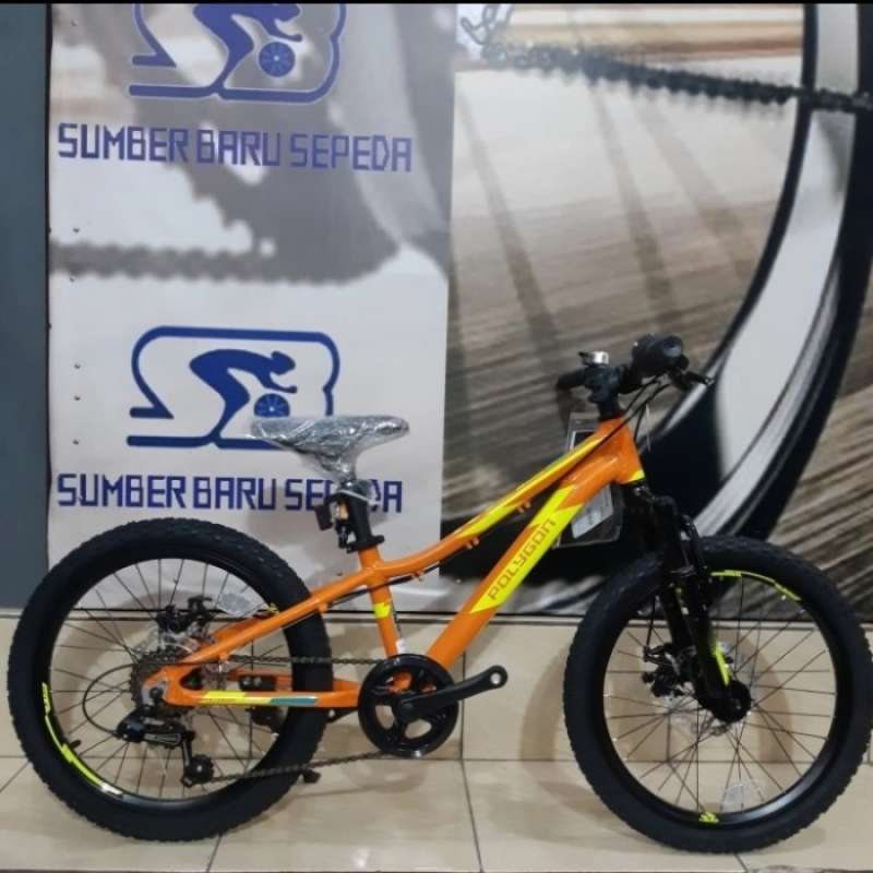 Polygon relic 20 inch deals