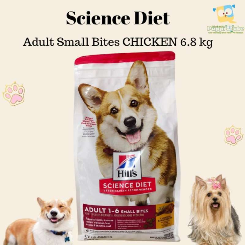 Science diet 2025 small bites 8kg