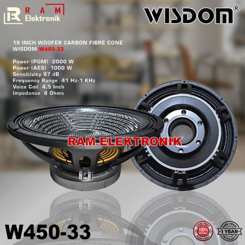 Speaker wisdom 18 inch top