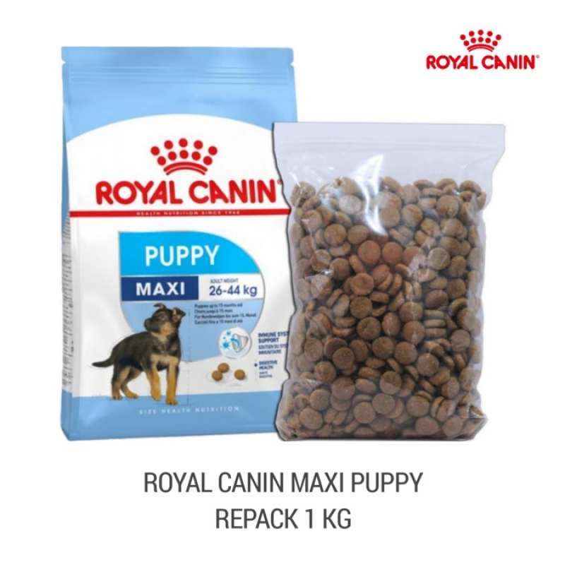 Royal canin shop maxi puppy 1kg