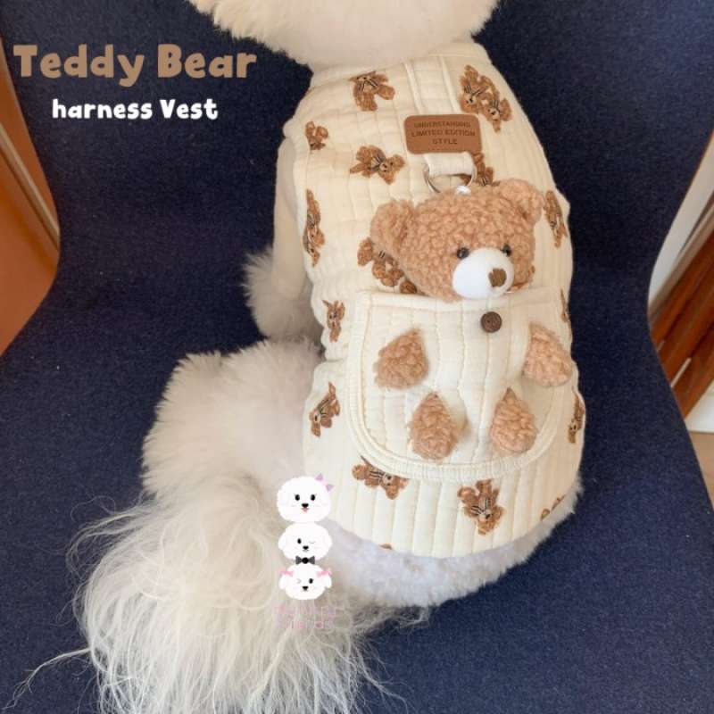 Korean teddy bear dog sales