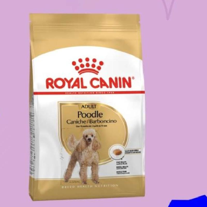 Promo Royal Canin Poodle Adult 1.5Kg Makanan Anjing Diskon 33