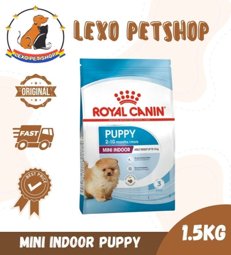 Mini indoor puppy on sale
