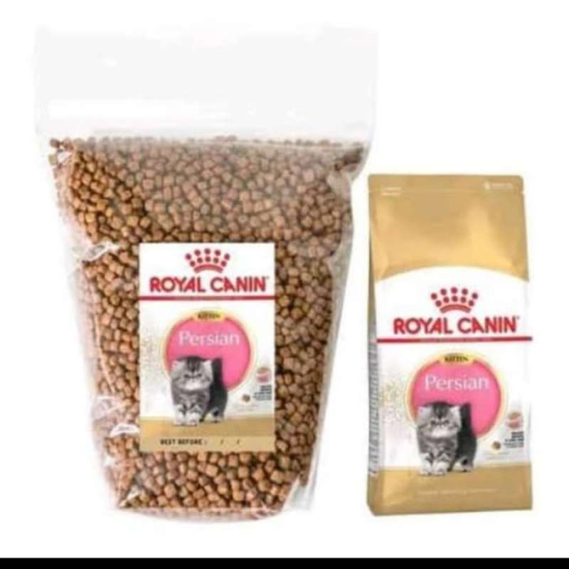 Rc 32 kitten online
