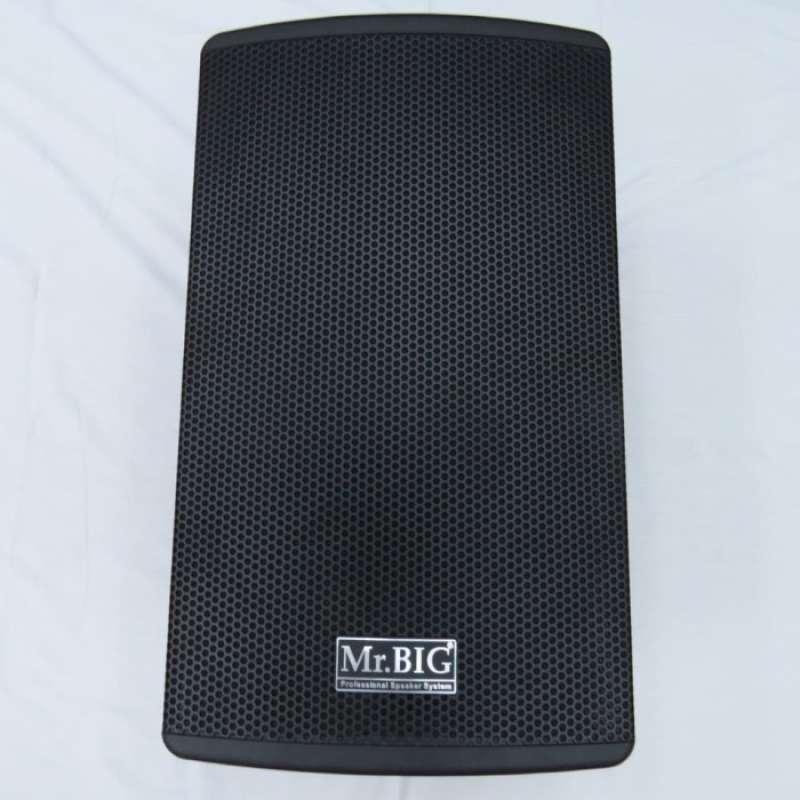 Speaker shop mr big