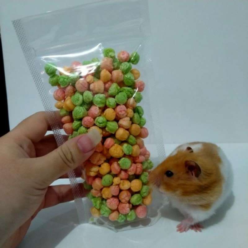 Hamster rice top