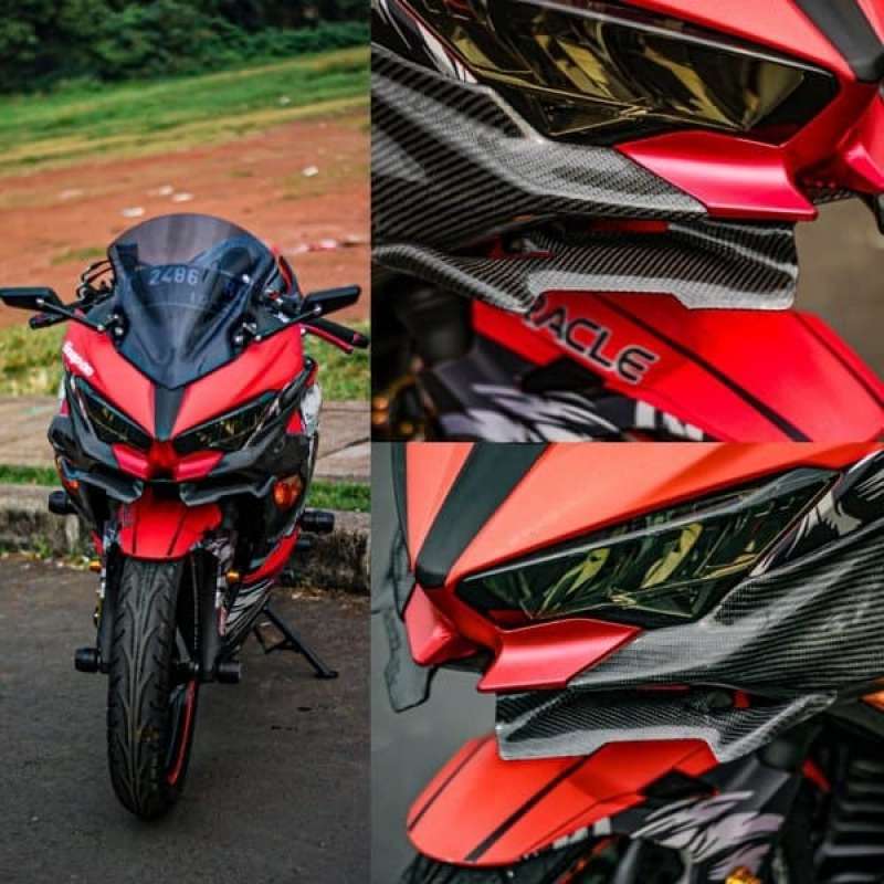 Winglet kawasaki cheap ninja 250