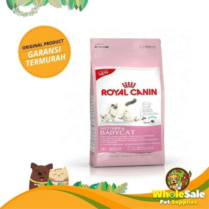 Royal canin baby best sale cat 34