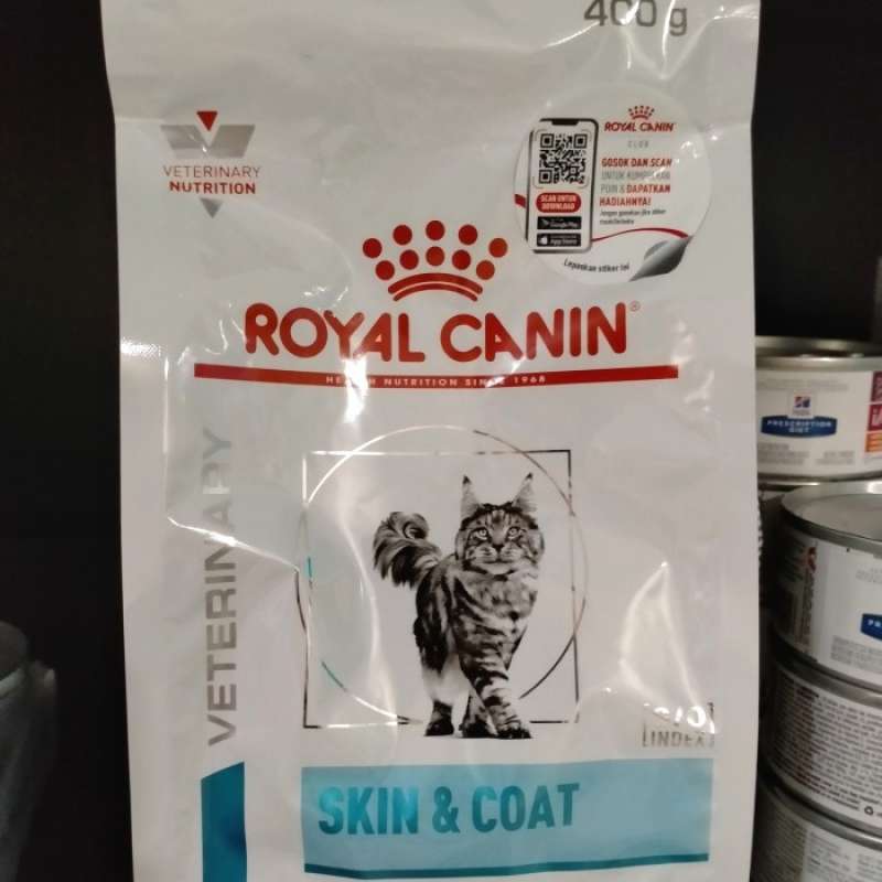 Rc skin 2025 and coat
