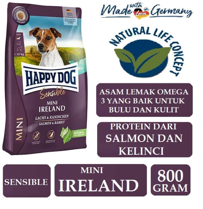 Happy dog mini irland top