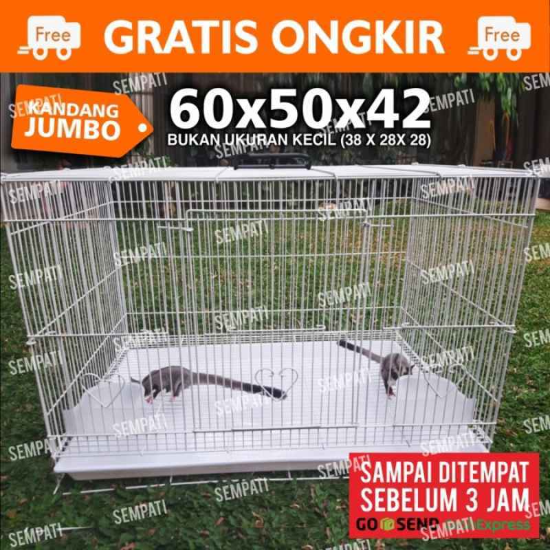 Sangkar sugar best sale glider
