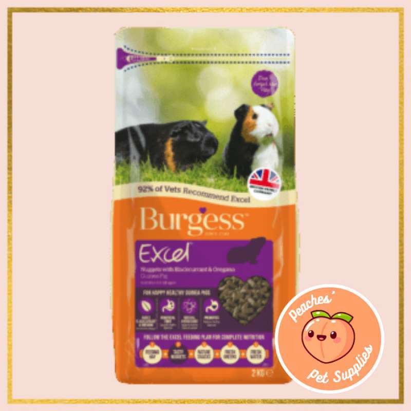 Burgess excel guinea pig on sale blackcurrant oregano