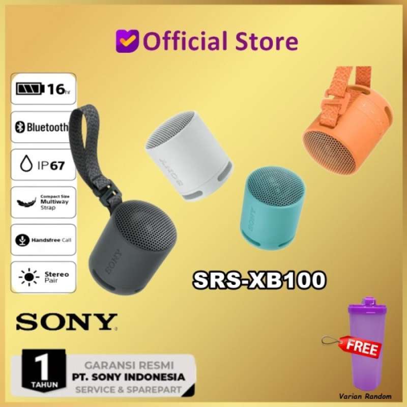 Sony srs online xb 501