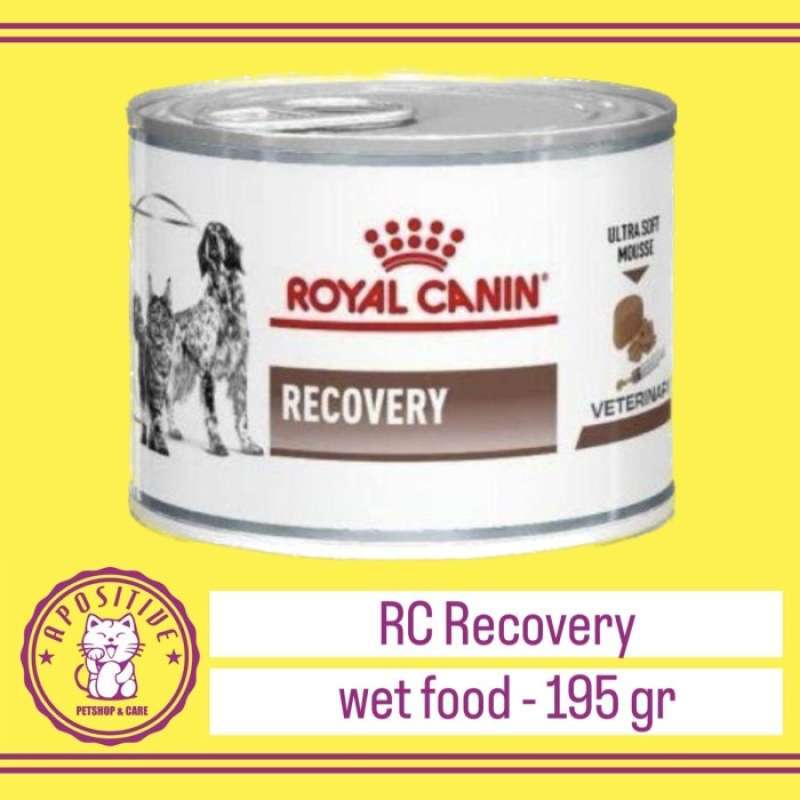 Rc recovery kucing hot sale