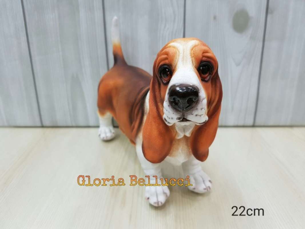 Anjing hush puppies sales
