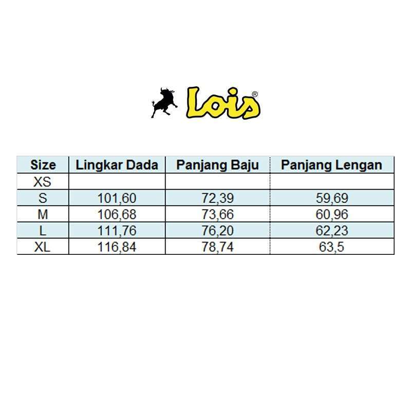 Lois jeans size sales chart