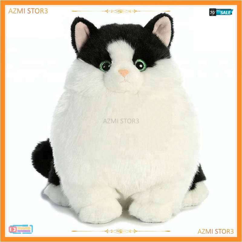 Aurora world 2025 fat cats