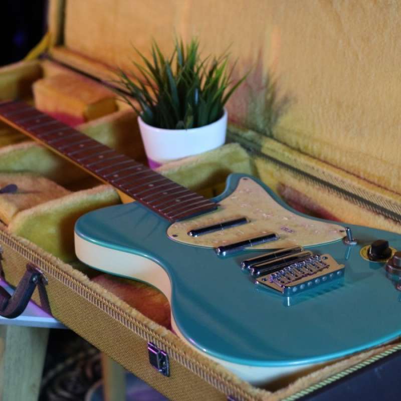 Jual on sale gitar danelectro
