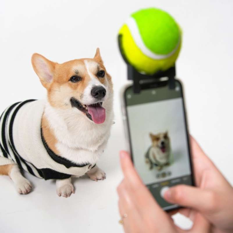 Selfie tennis ball cheap