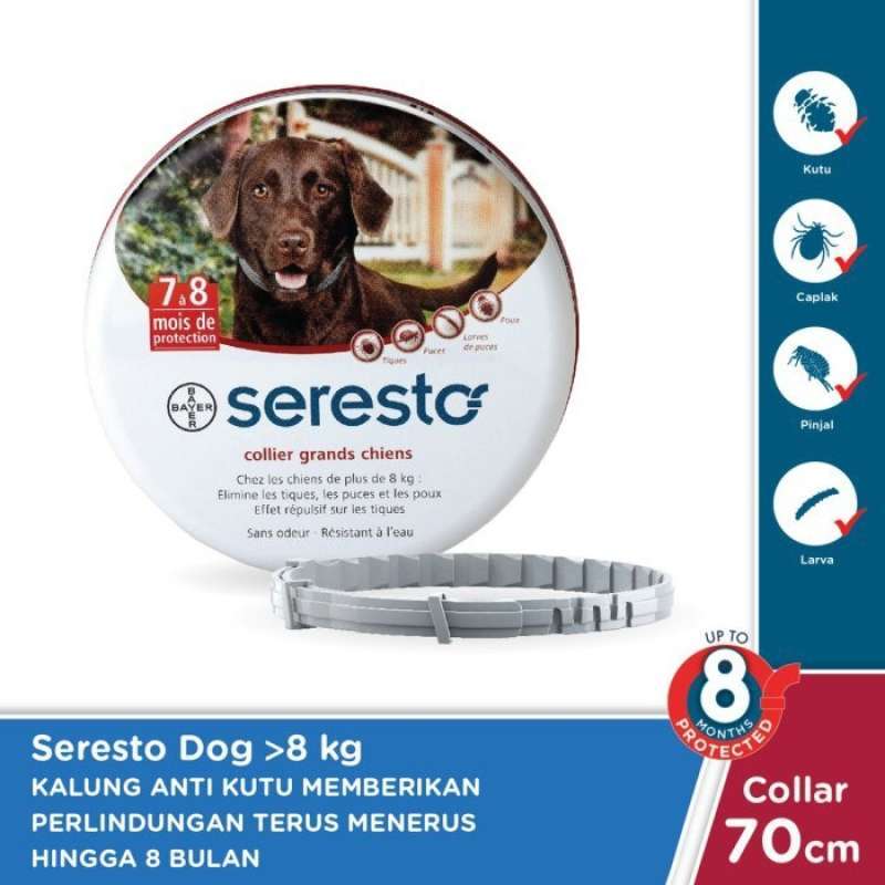 Serta flea 2024 collar