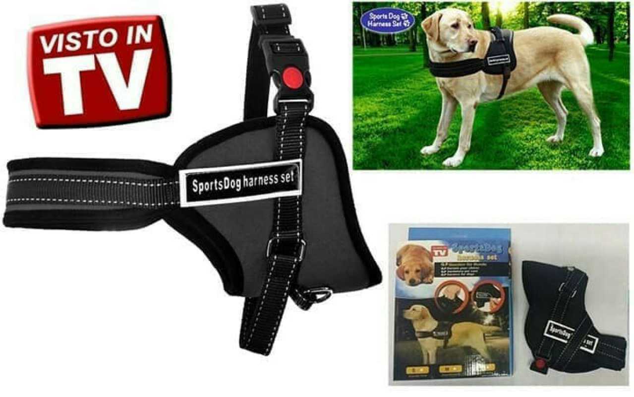 Sports dog harness set 2025
