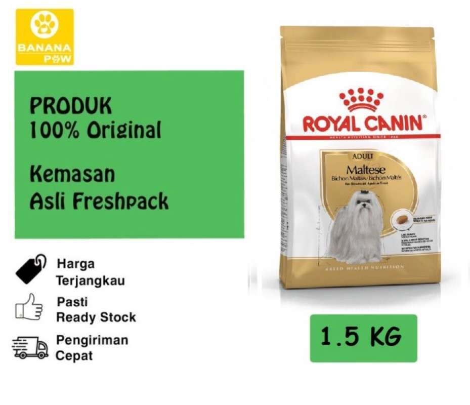 Karma royal canin maltese store