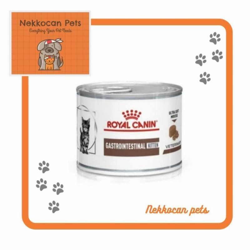 Wet food sale untuk kitten