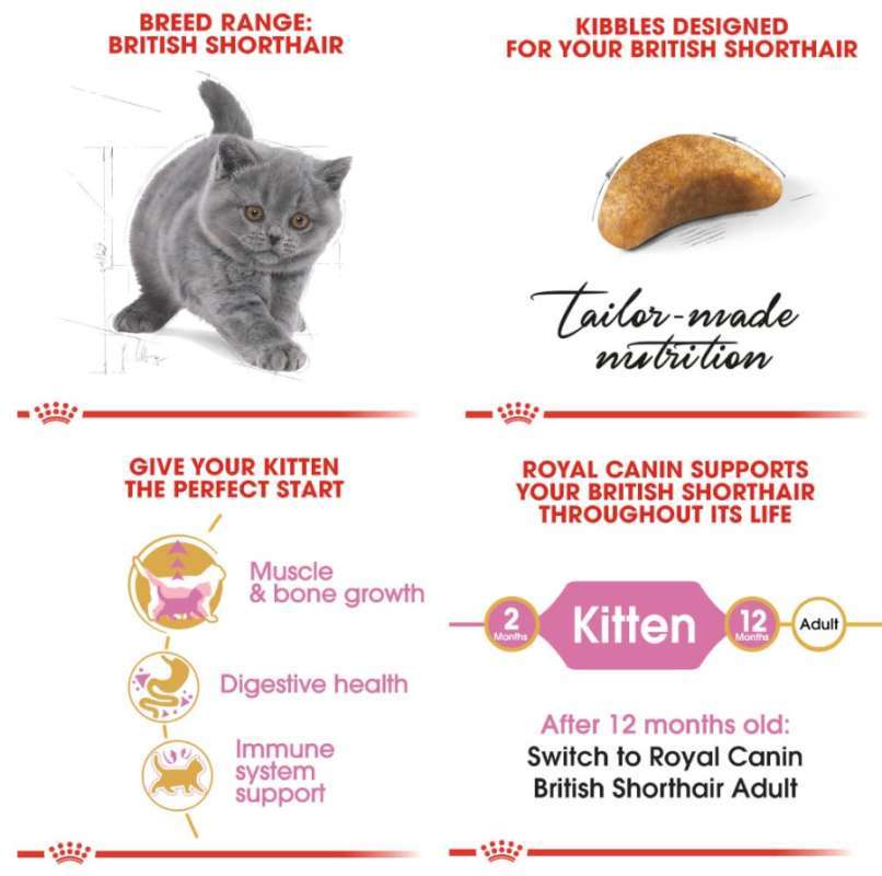Jual Catfood Royal Canin British Short Hair Kitten BSH 400gr RC