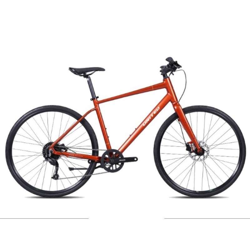 Sepeda hybrid carbon hot sale