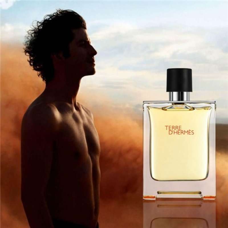 Promo Parfum Terre D Hermes edp 75ml Diskon 23 di Seller Jamica