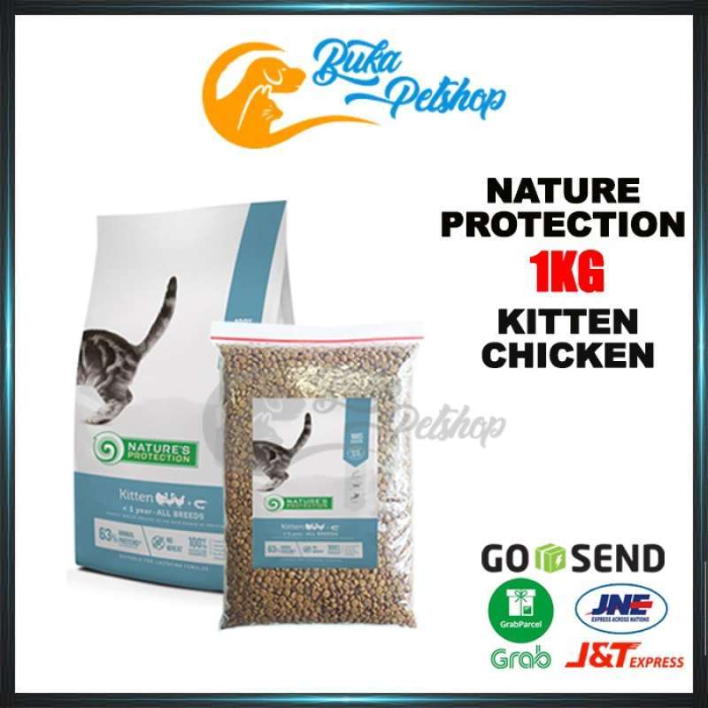 Nature top protection kitten