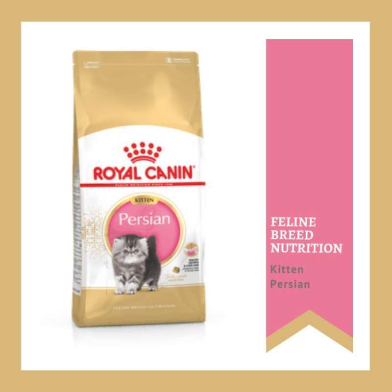 Royal canin best sale persian kitten 4kg