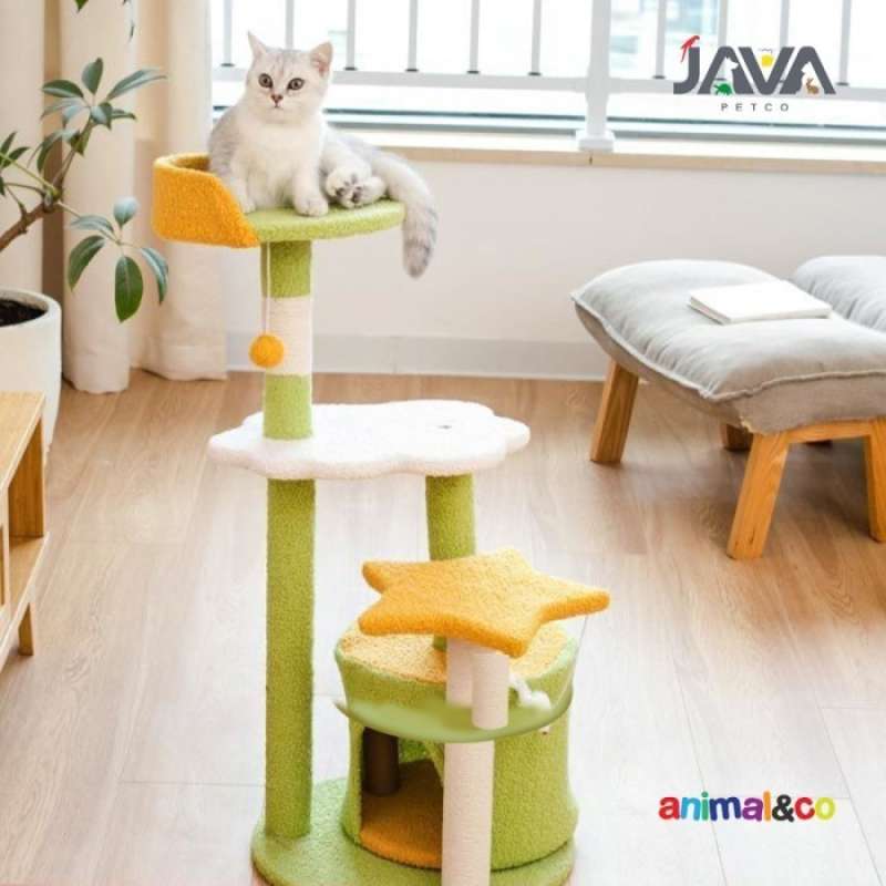 Condo kucing top