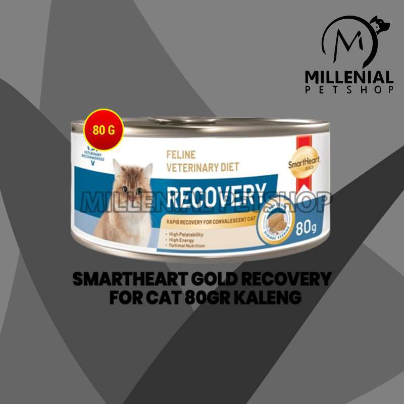 Recovery cat food 2025