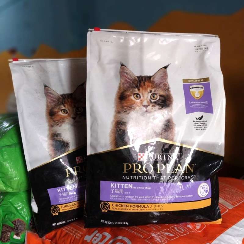 Pro plan kitten 7kg hotsell