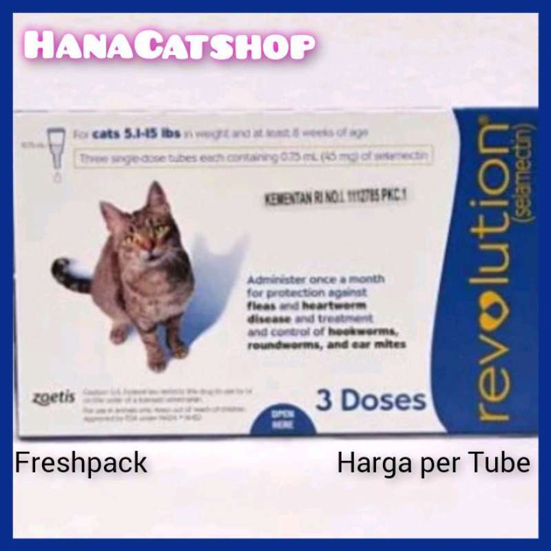 Revolution shop blue cat