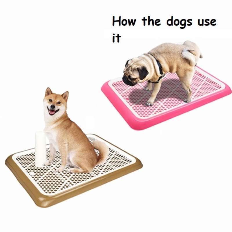 Jual Pet Toilet Training Tray Pee Pad Alpha Size Small Toilet